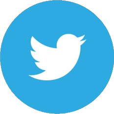 Twitter 老账号，注册时间 2009-2023 年，关注者 500+，已通过邮箱验证（包含邮箱密码），已开启 2FA